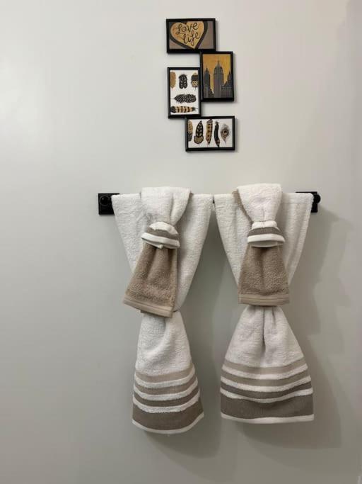 Cozy, High Rise, Large Studio Facing Downtown . Appartement Baltimore Buitenkant foto